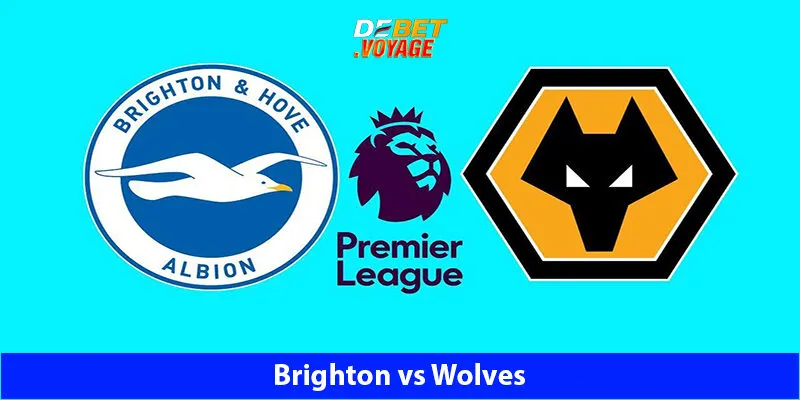 Dự Đoán Kèo Bóng Brighton vs Wolves 21h00 Ngày 26/10 1 Dự Đoán Kèo Bóng Brighton vs Wolves 21h00 Ngày 26/10