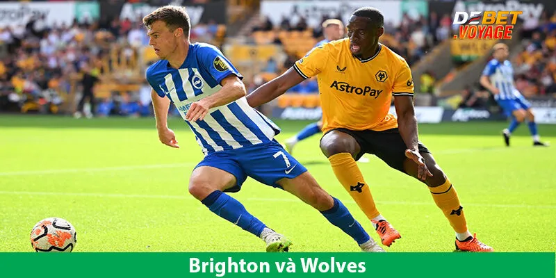Dự Đoán Kèo Bóng Brighton vs Wolves 21h00 Ngày 26/10 3 Dự Đoán Kèo Bóng Brighton vs Wolves 21h00 Ngày 26/10