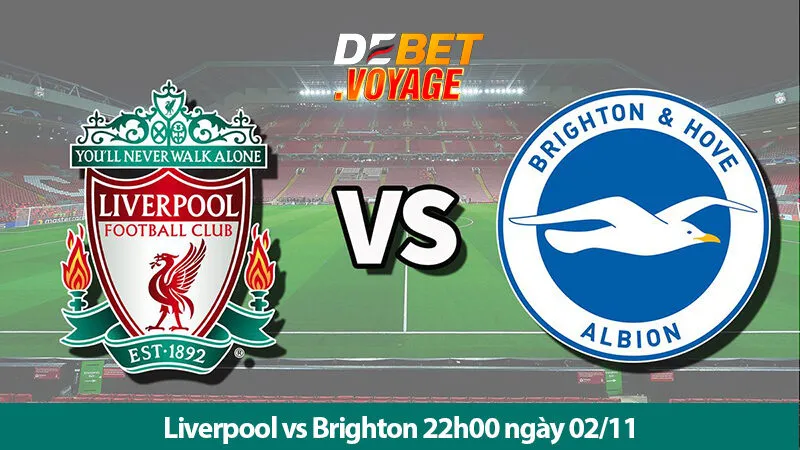 Soi kèo vàng trận Liverpool vs Brighton 22h00 ngày 02/11 1 Soi kèo vàng trận Liverpool vs Brighton 22h00 ngày 02/11