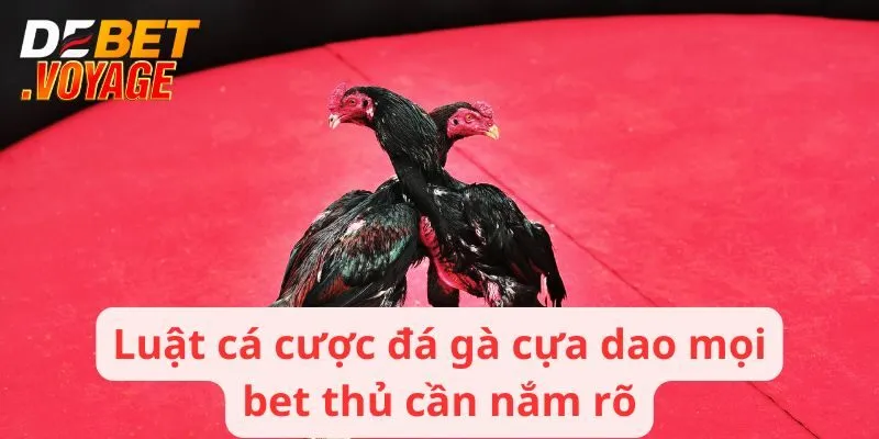 Đá Gà Cựa Dao - Sân Chơi Trực Tuyến Nổi Bật Nhất Tại DEBET 2 Luật cá cược đá gà cựa dao mọi bet thủ cần nắm rõ