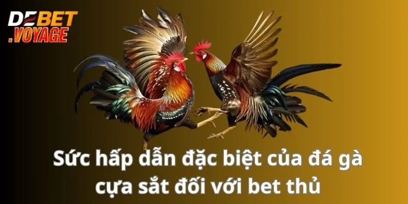 Đá Gà Cựa Sắt - Sân Chơi Kịch Tính Hấp Dẫn Không Thể Bỏ Lỡ 2 Sức hấp dẫn đặc biệt của đá gà cựa sắt đối với bet thủ