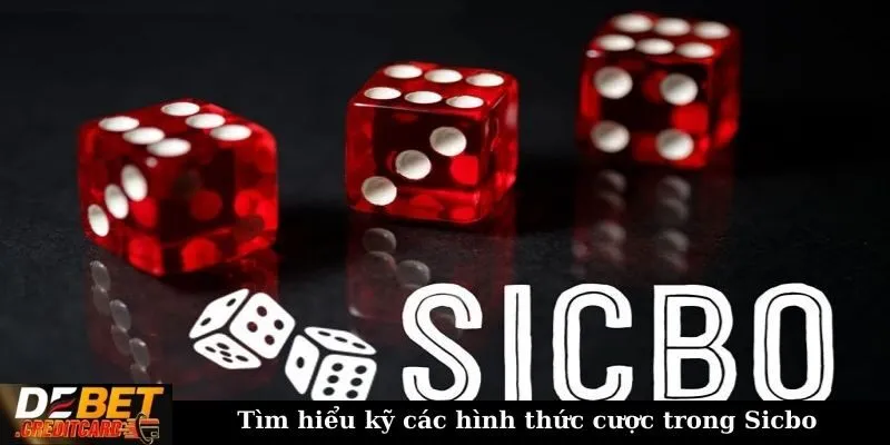 Những chiến thuật chơi Sicbo hiệu quả được cao thủ chia sẻ? 1 Tìm hiểu kỹ các hình thức cược trong Sicbo